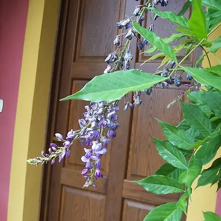 컨트리하우스 Cascina La Pacioretta